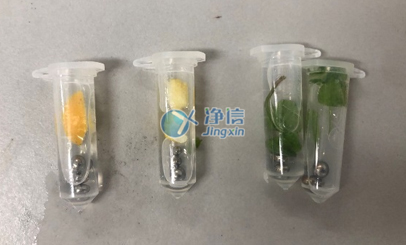 使用組織搗碎勻漿機(jī)對(duì)果皮和葉片研磨實(shí)驗(yàn)過程中需要注意那些問題？